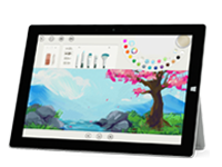 海棠Surface 无法开启、Windows 无法启动或电池无法充电