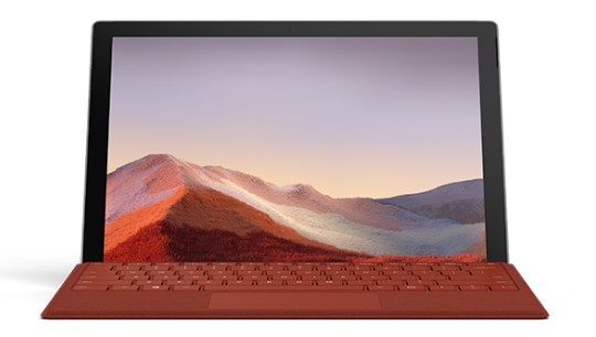 海棠清洁和维护 Surface